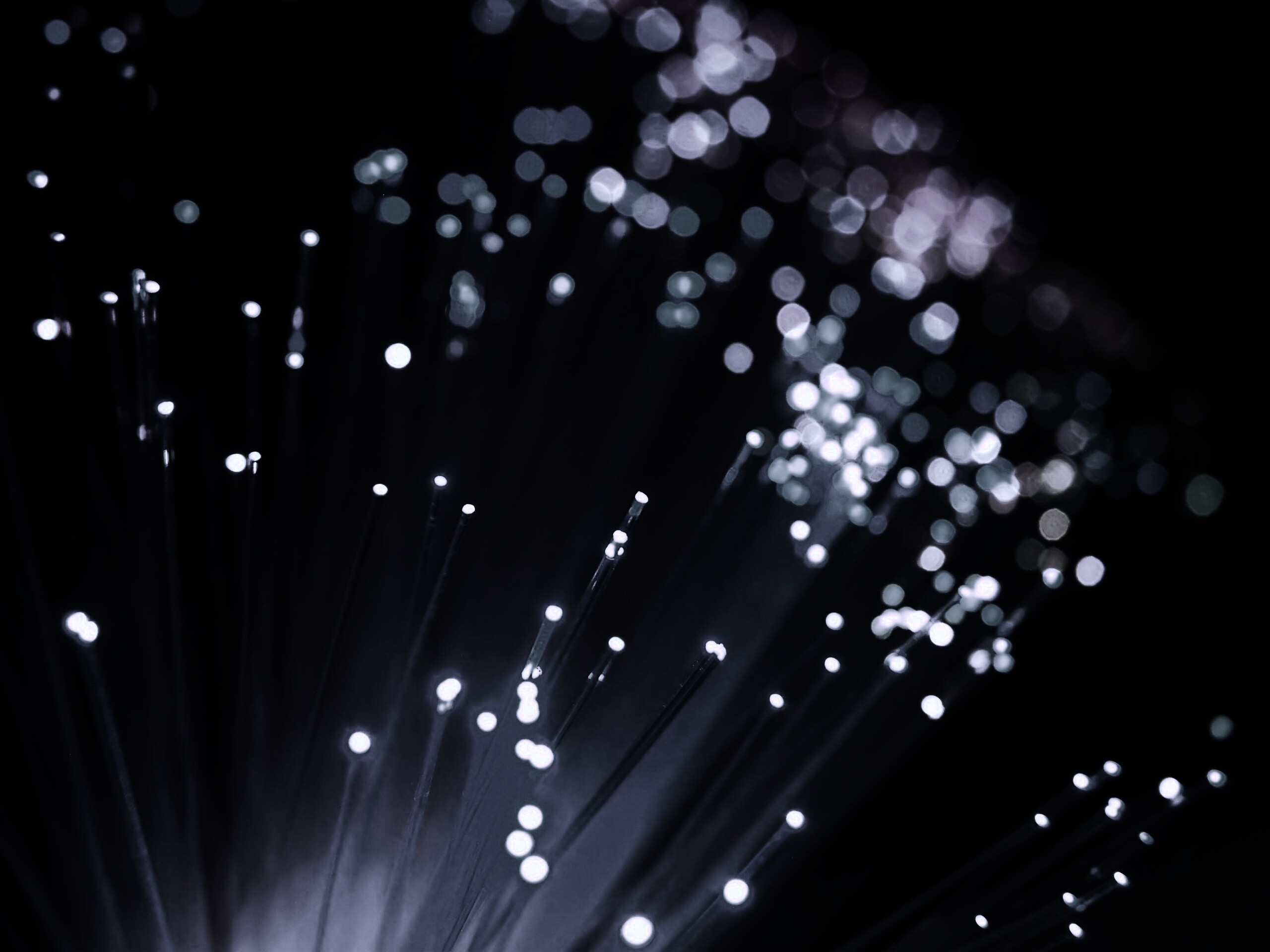 Огоньки на оптоволокне обои