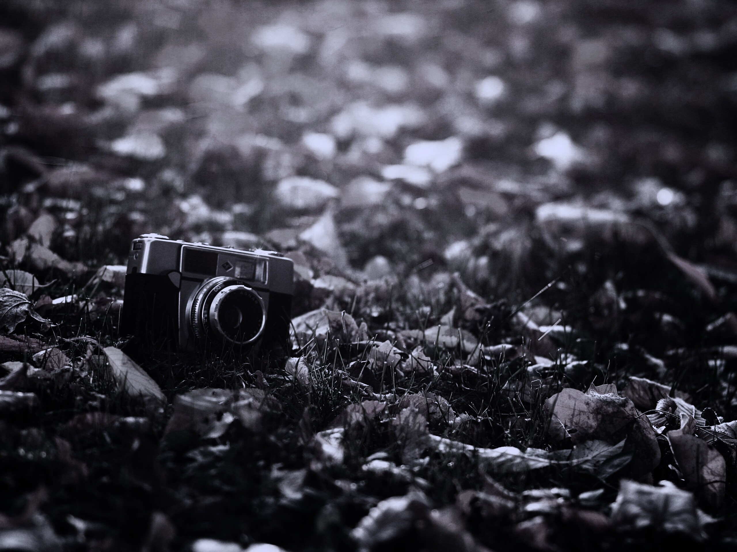 Старый фотоаппарат в траве обои