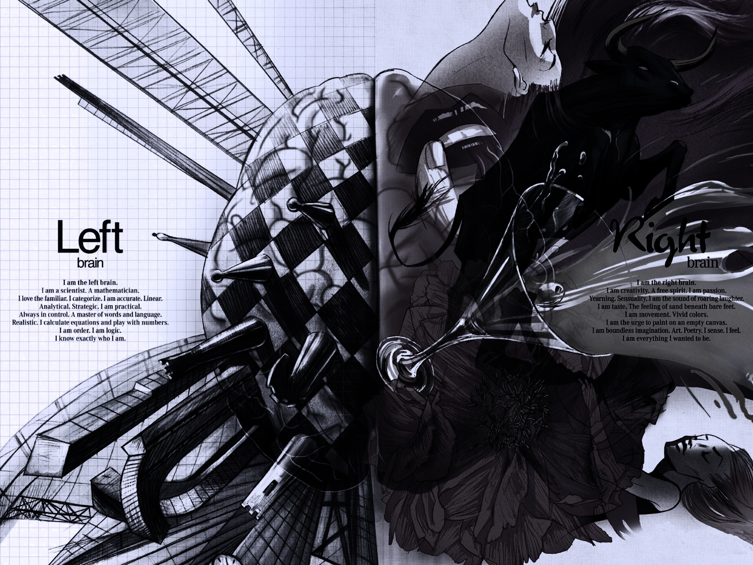 Левая и правая часть мозга обои