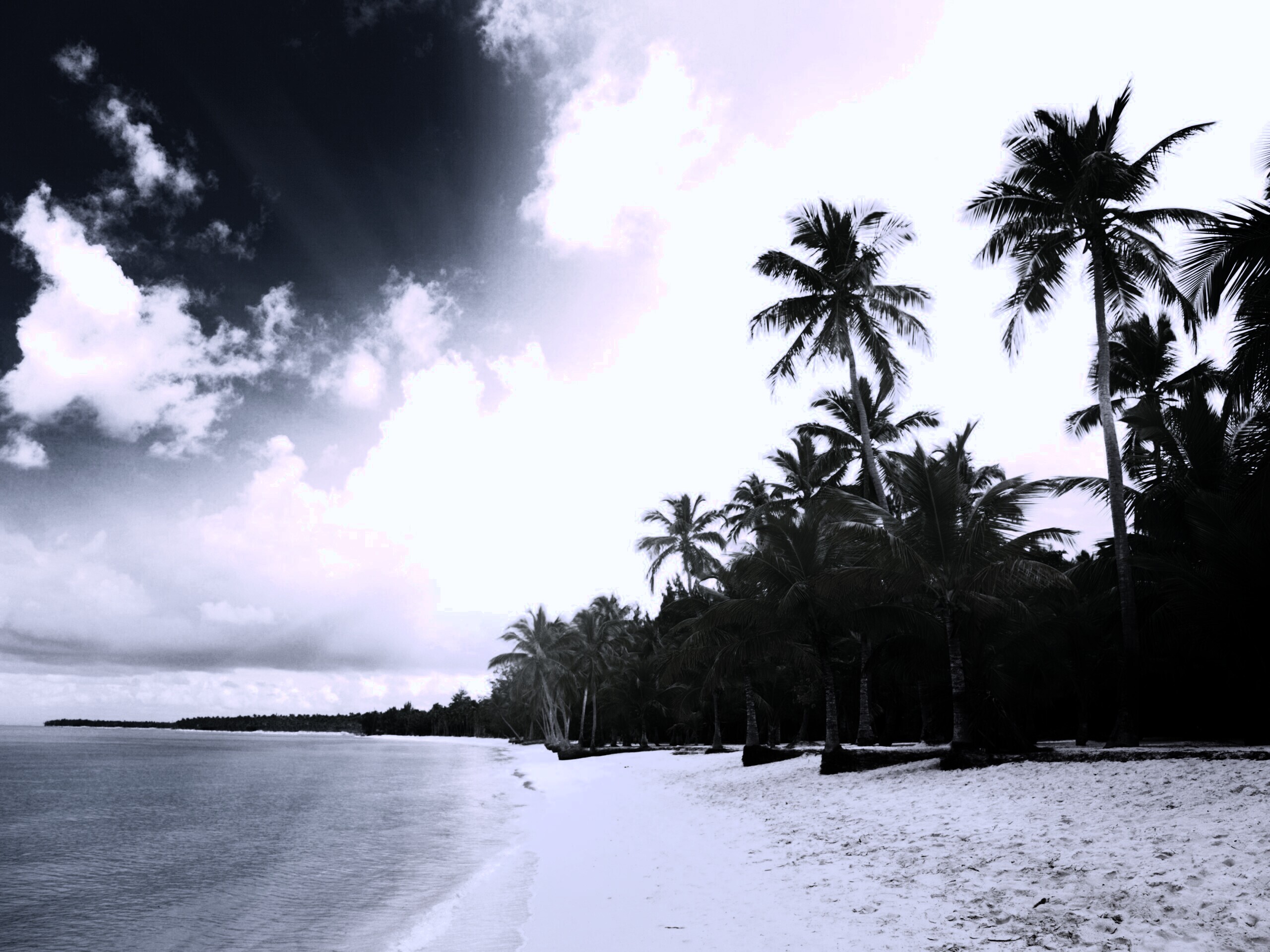 Тропическое побережье обои