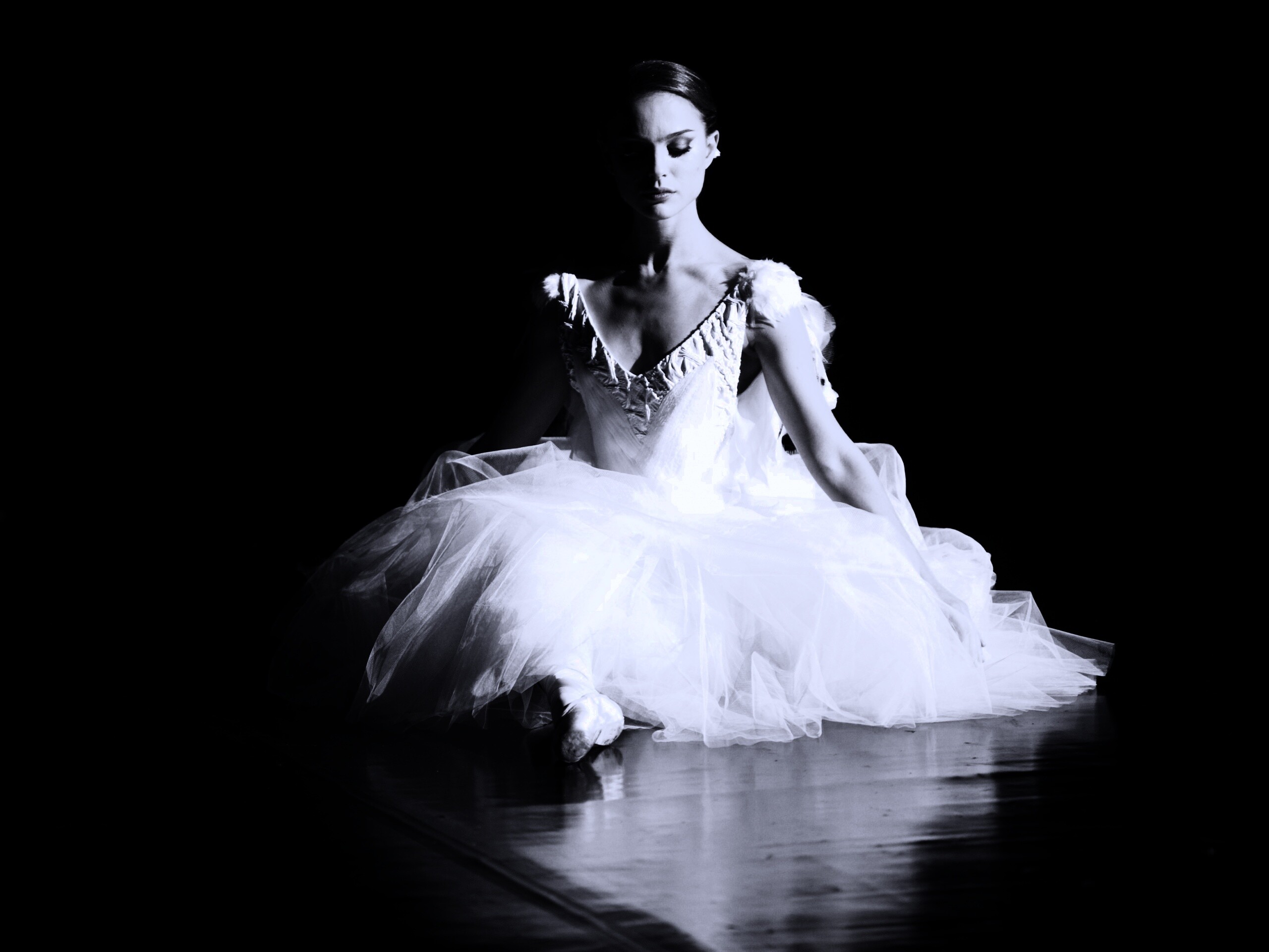 Черный лебедь обои