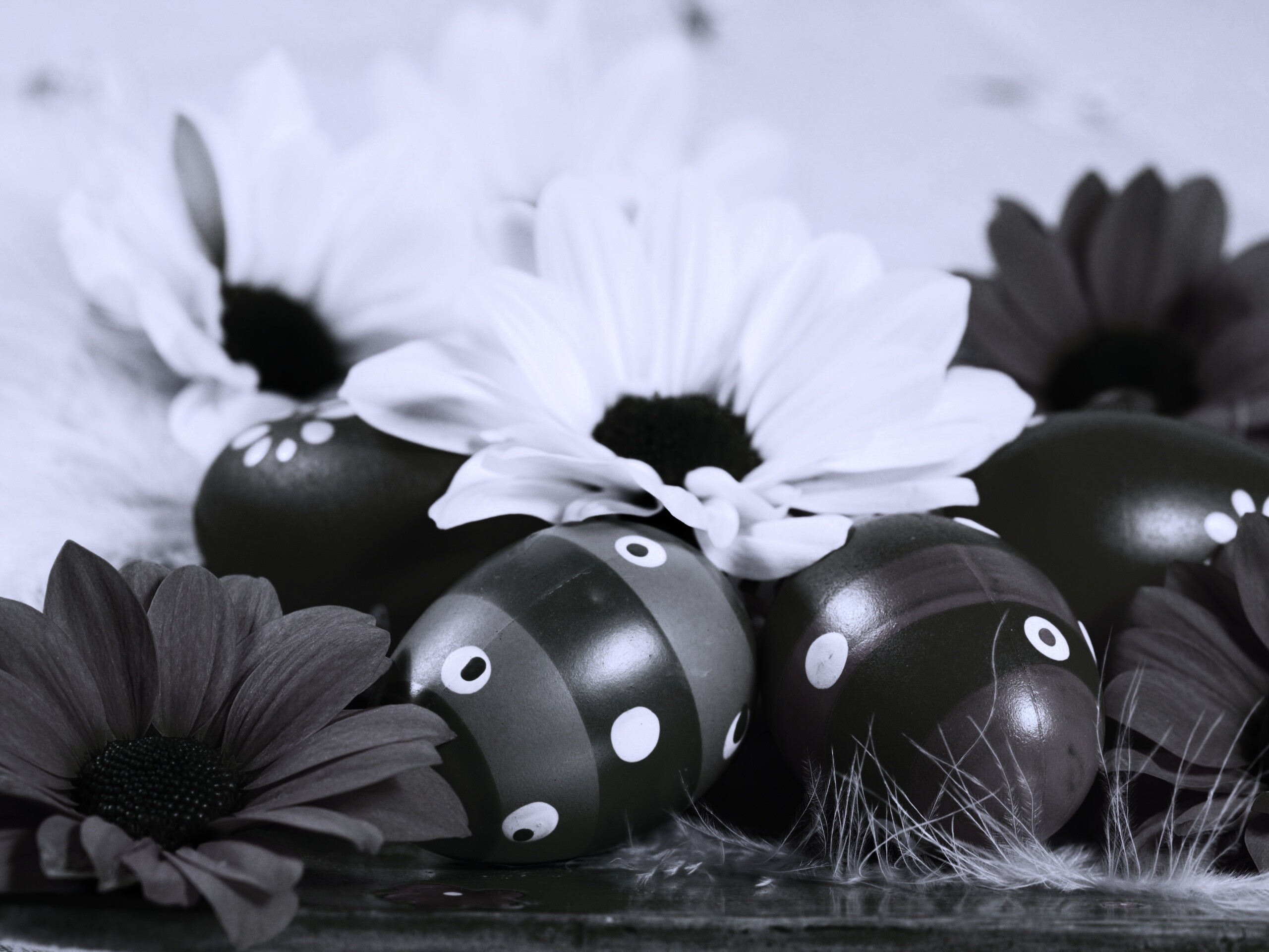 Пасхальный натюрморт обои