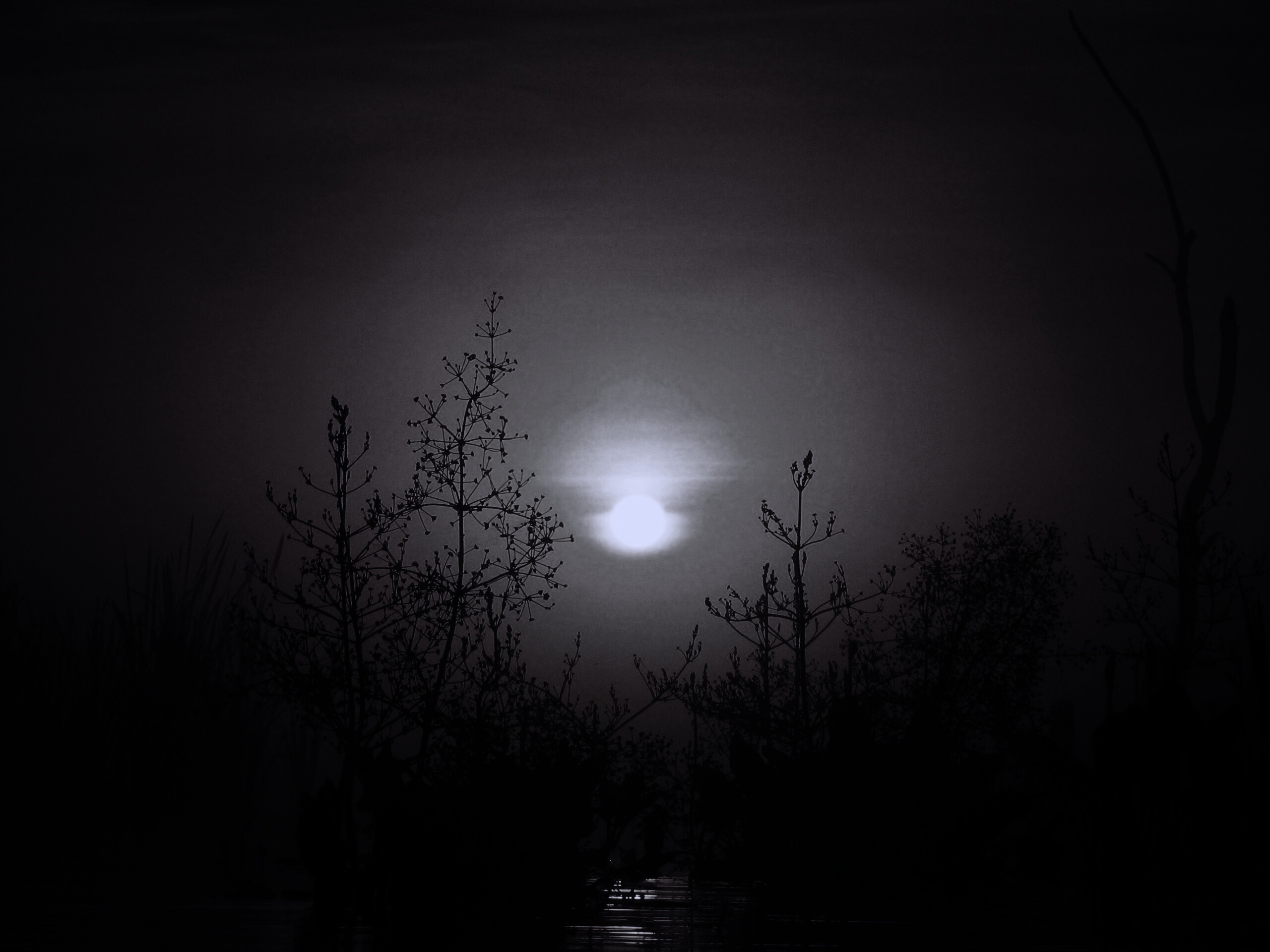 Доисторическое утро обои