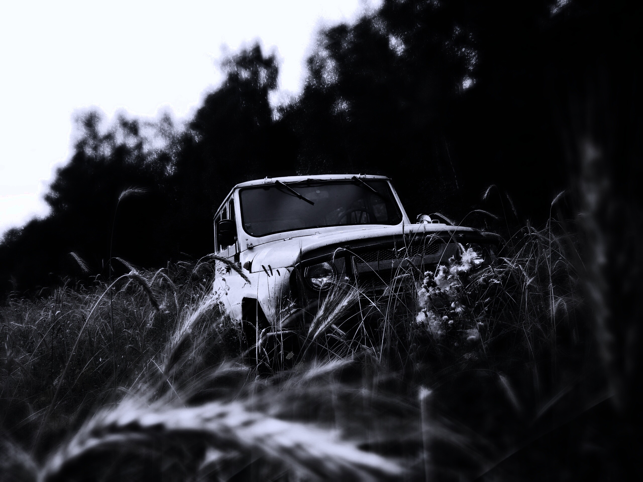 УАЗик в траве обои