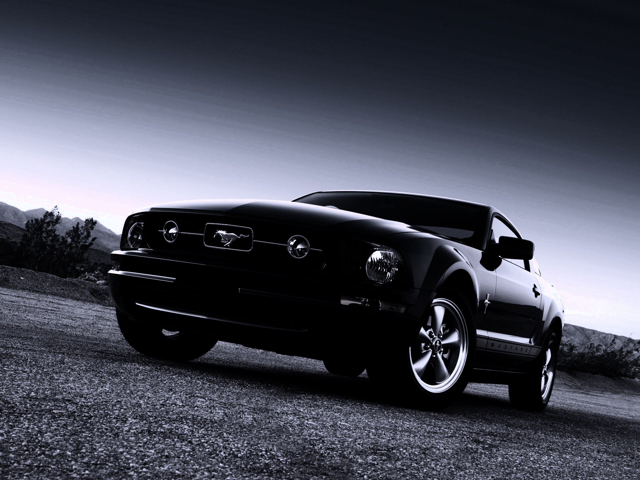 Ford Mustang обои