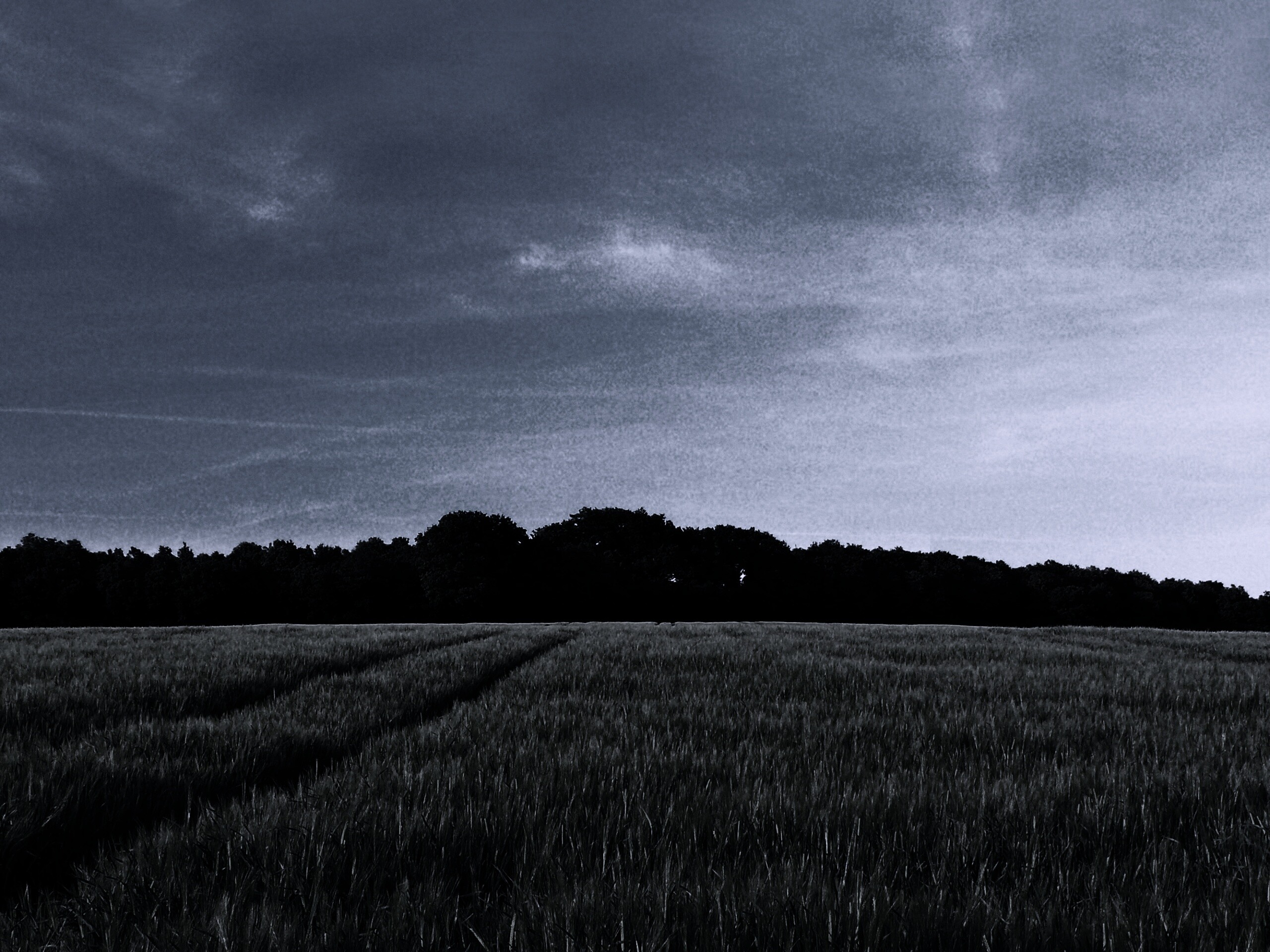 Следы колеи в поле обои