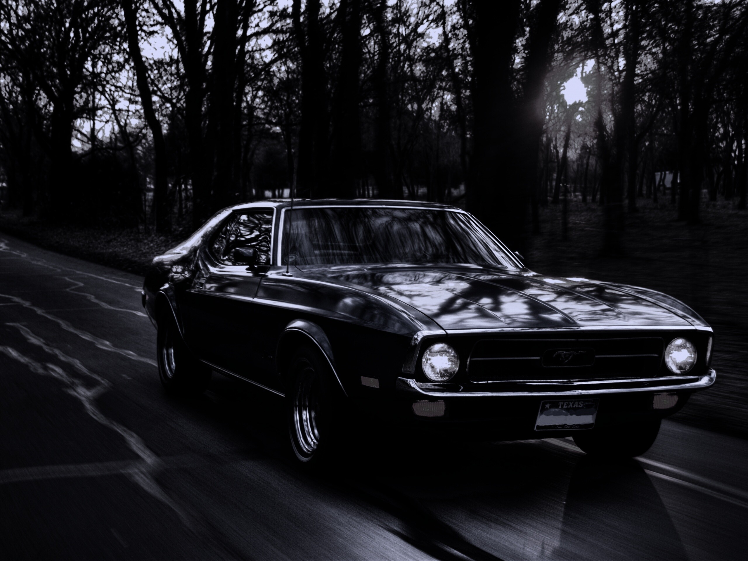 Мустанг обои