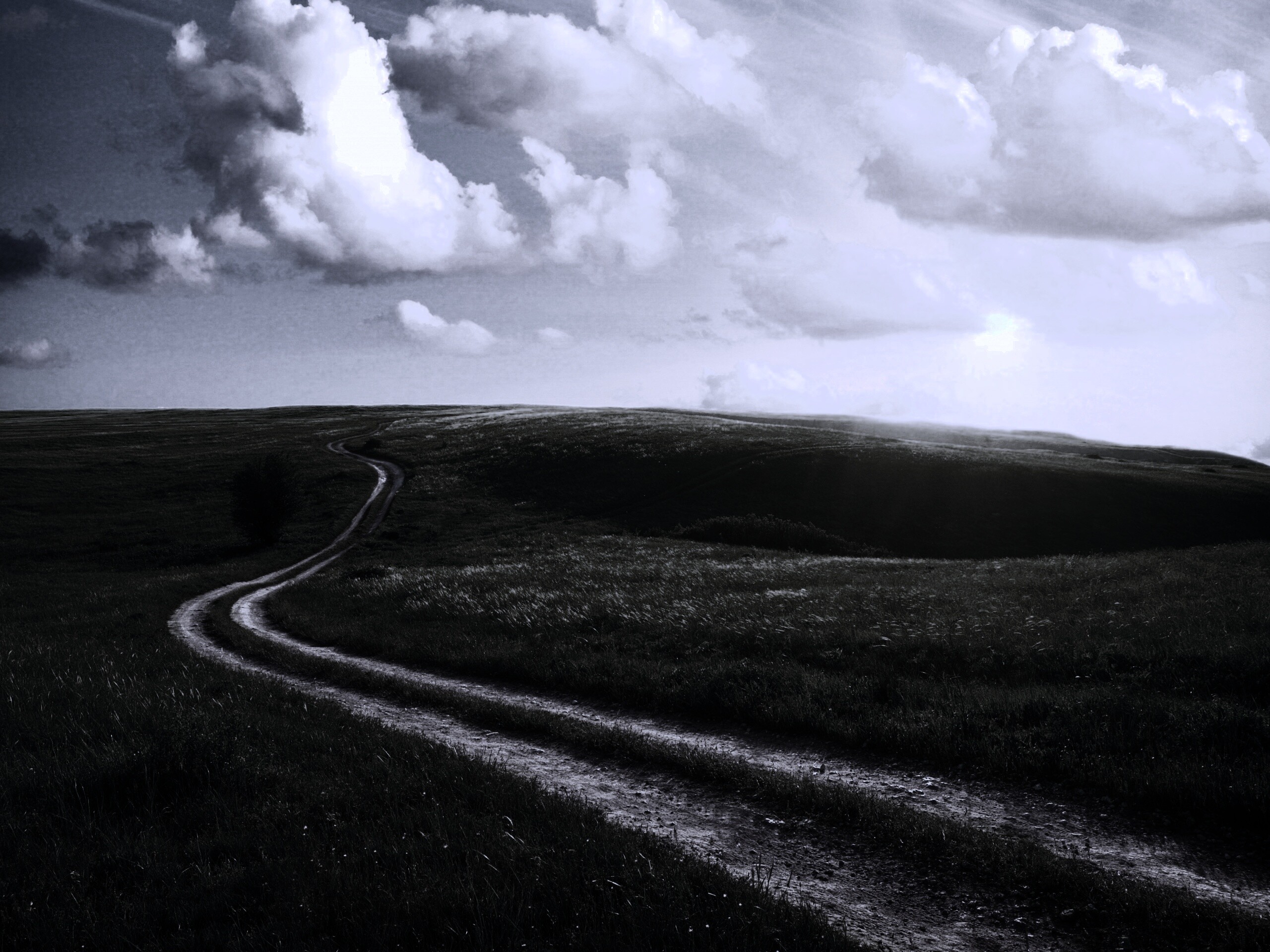 Дорога через луг обои