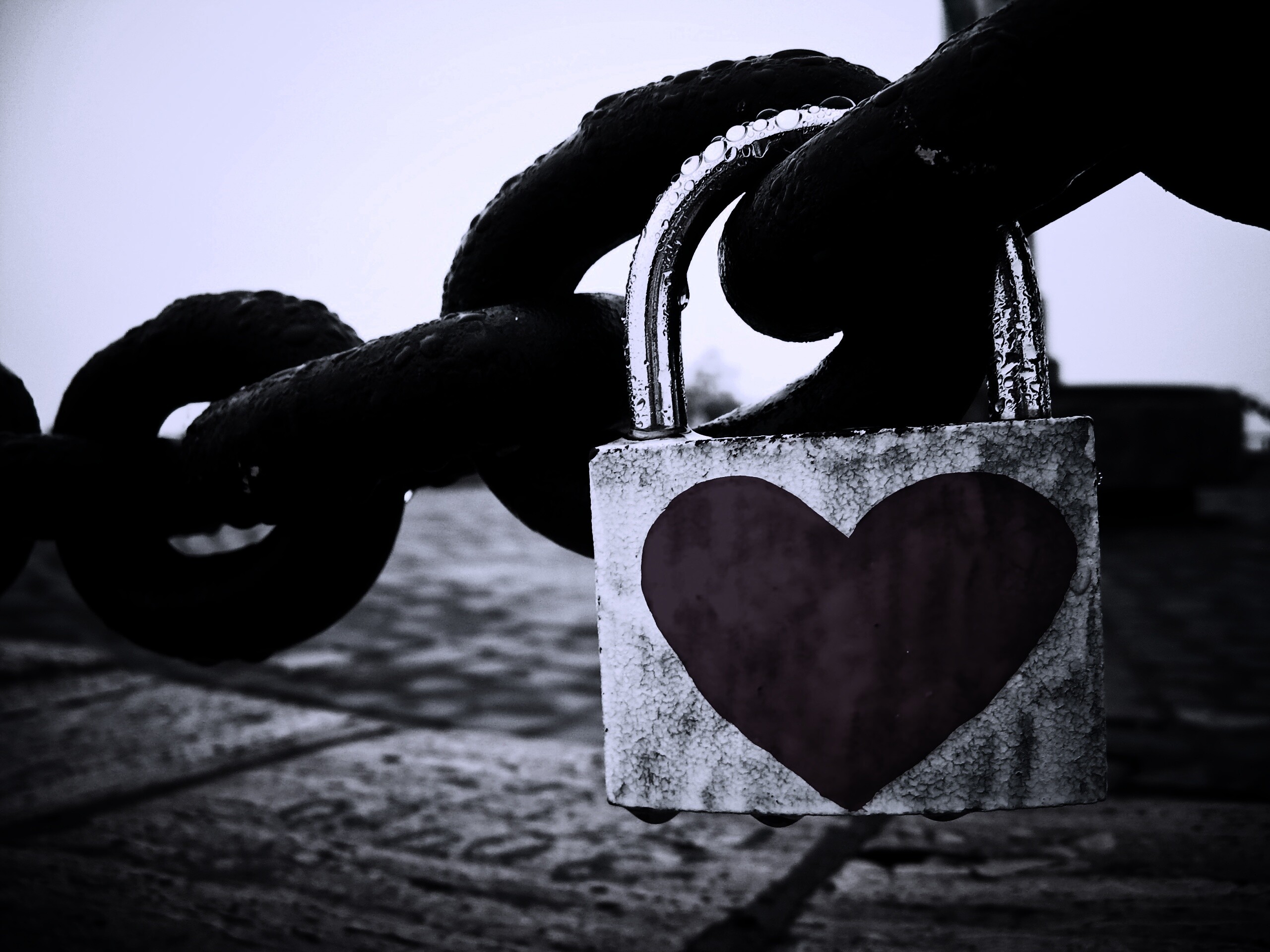 Замочек для влюбленных обои