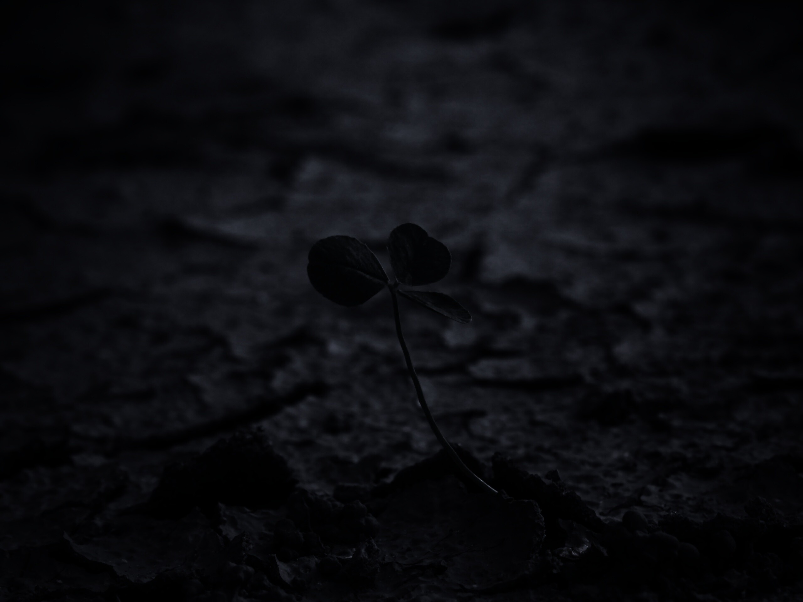 Сила природы обои