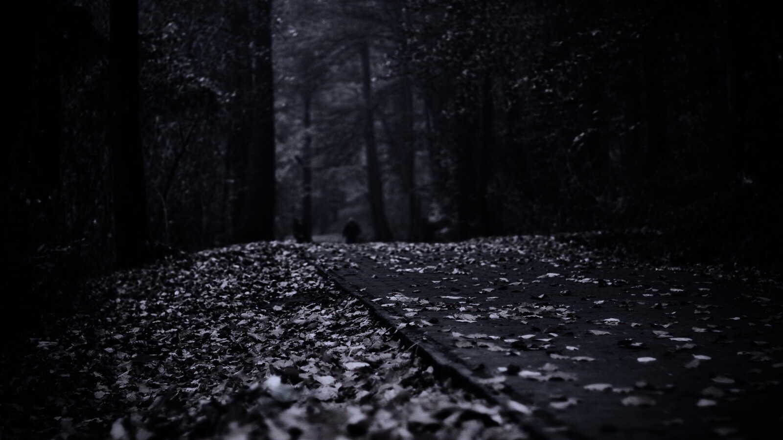 Осенняя дорога обои