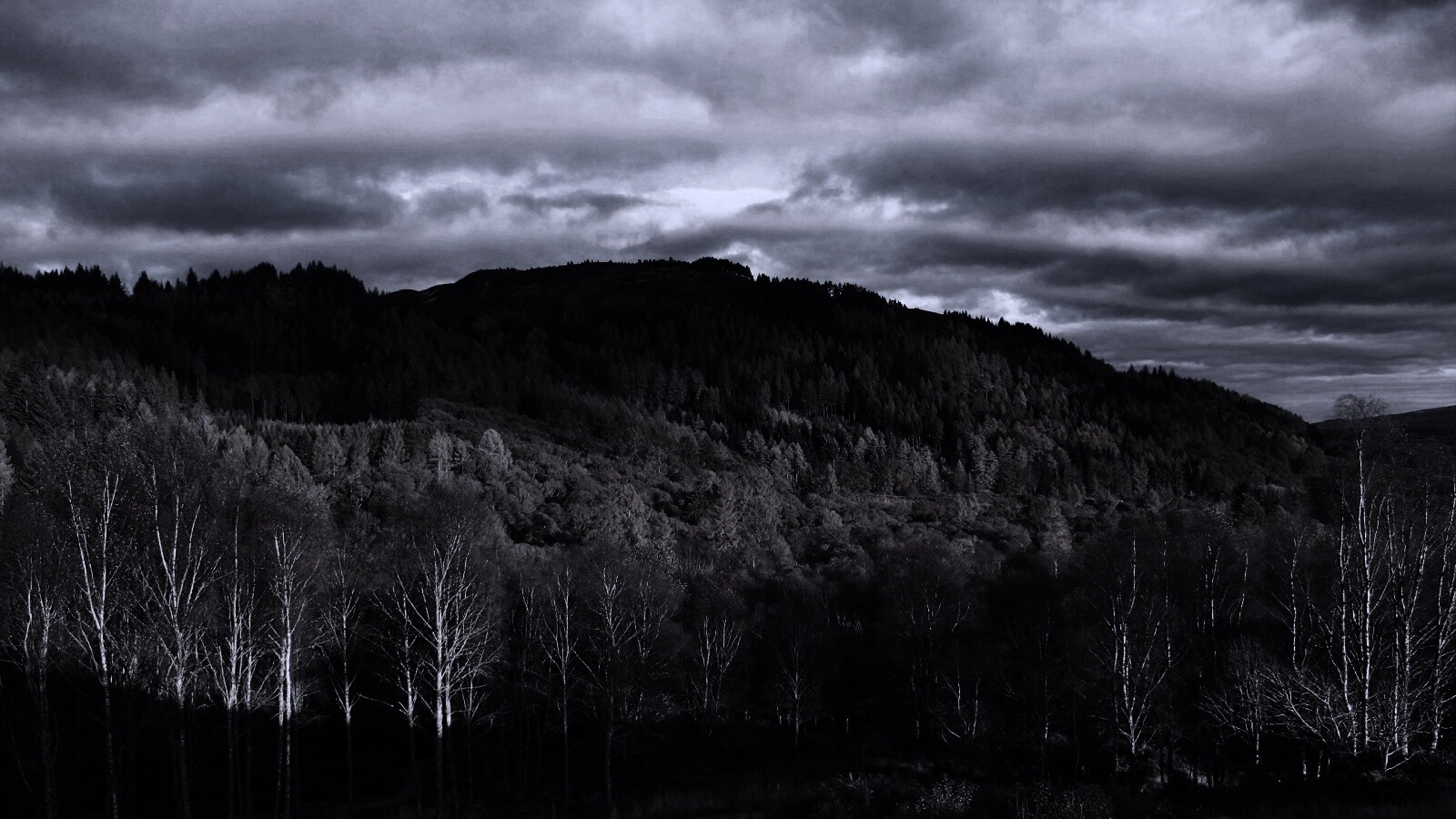 Золотая осень обои