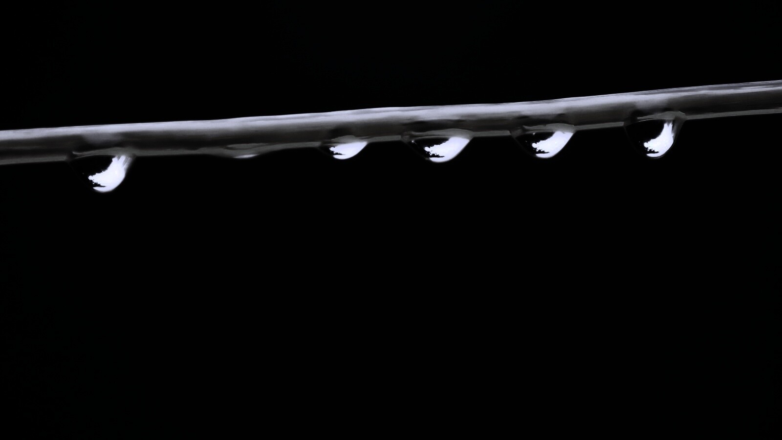 Капли на соломинке обои