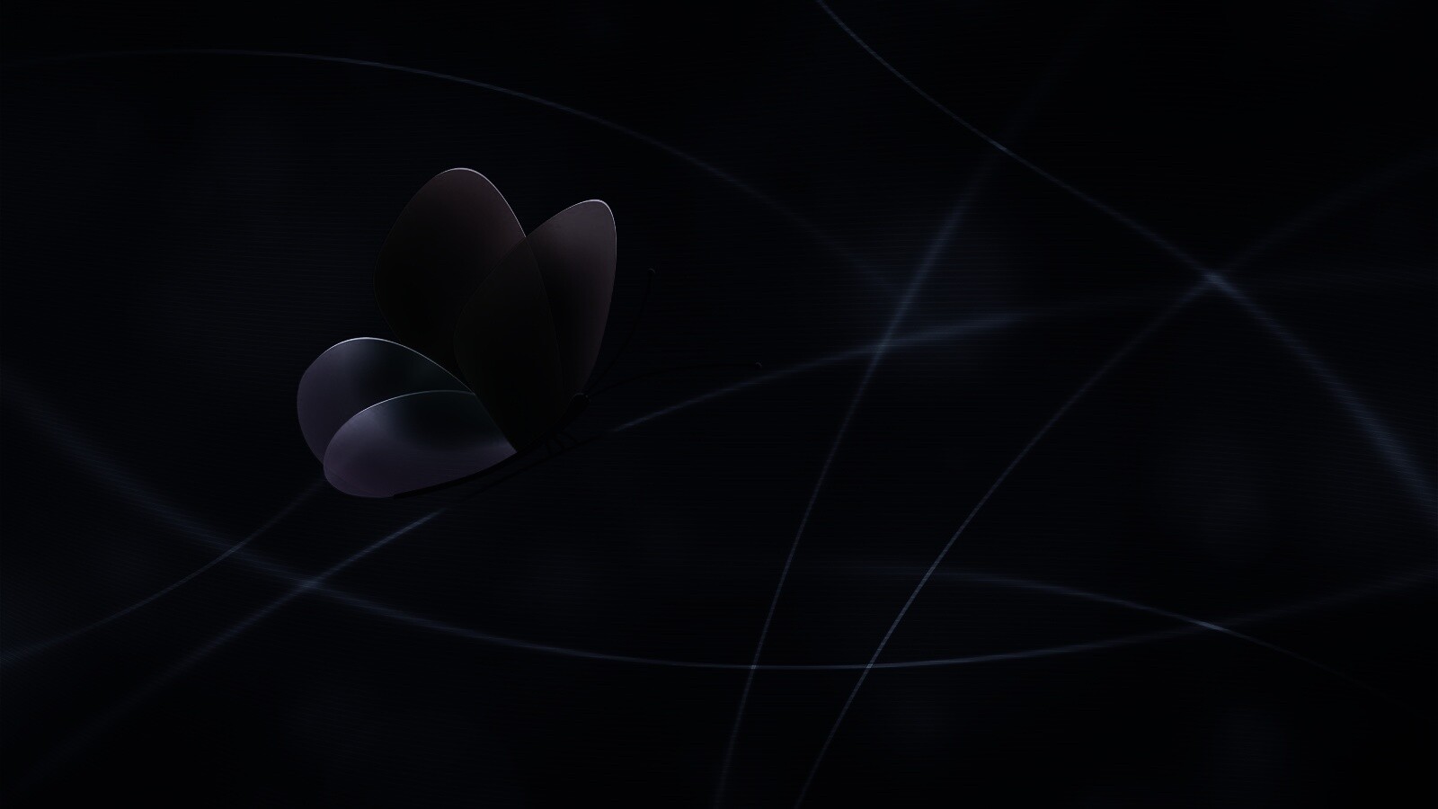 Бабочка с радужными крыльями обои