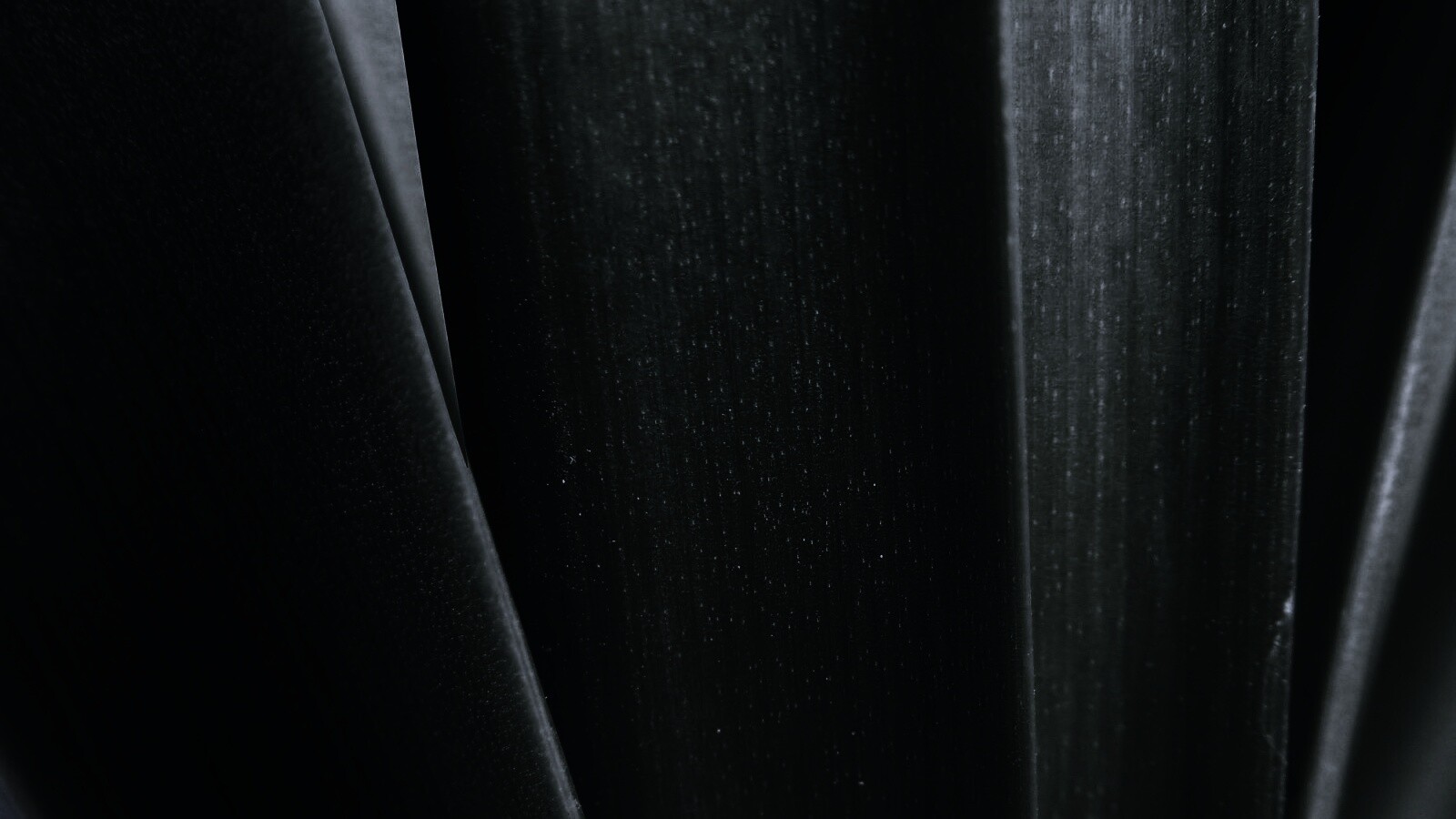 Сочная травинка обои