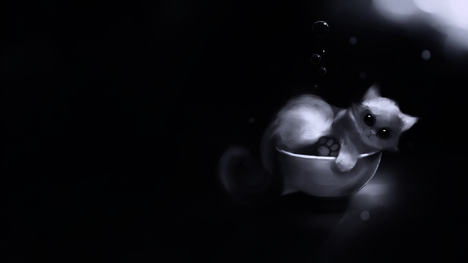 Котёнок в миске обои