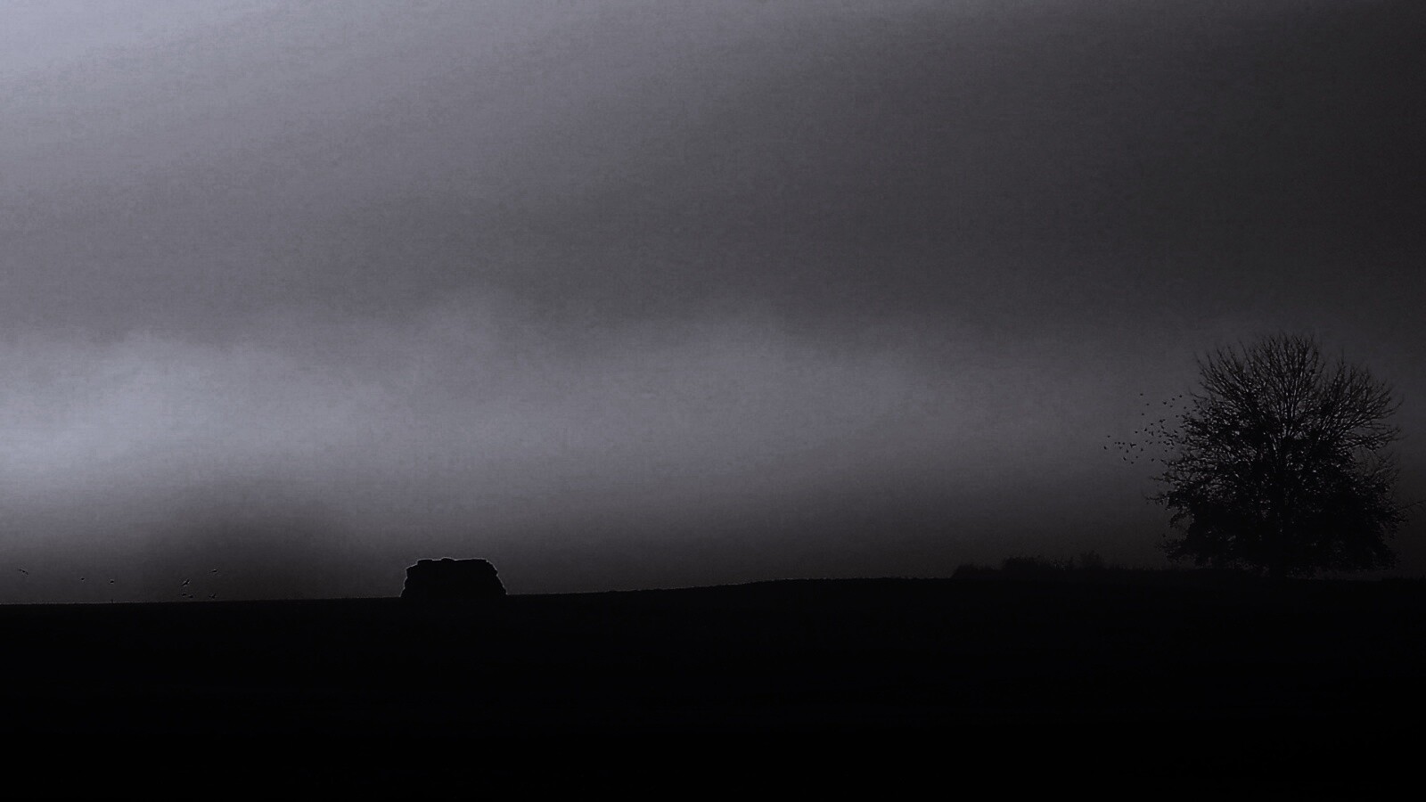 Убранное поле обои