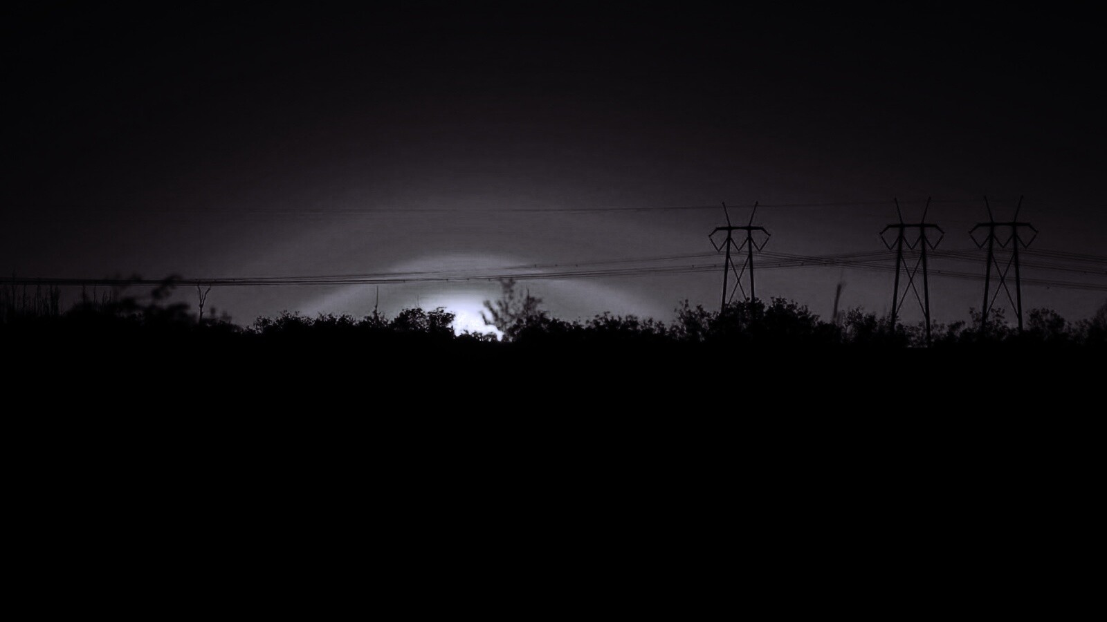 Закат за лесом обои