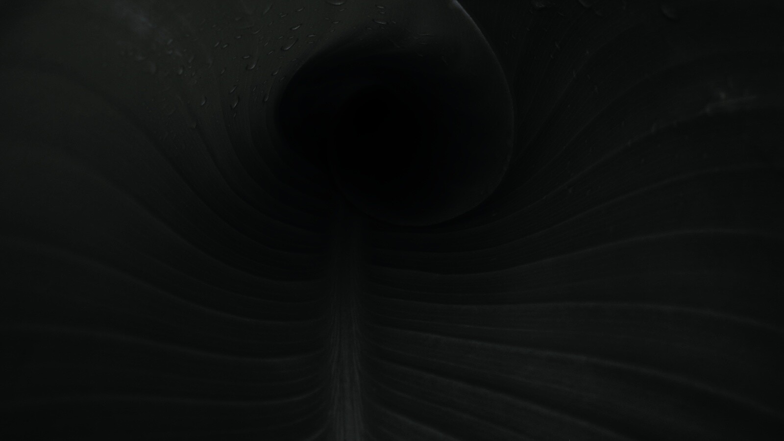 Свернутый в трубочку лист обои