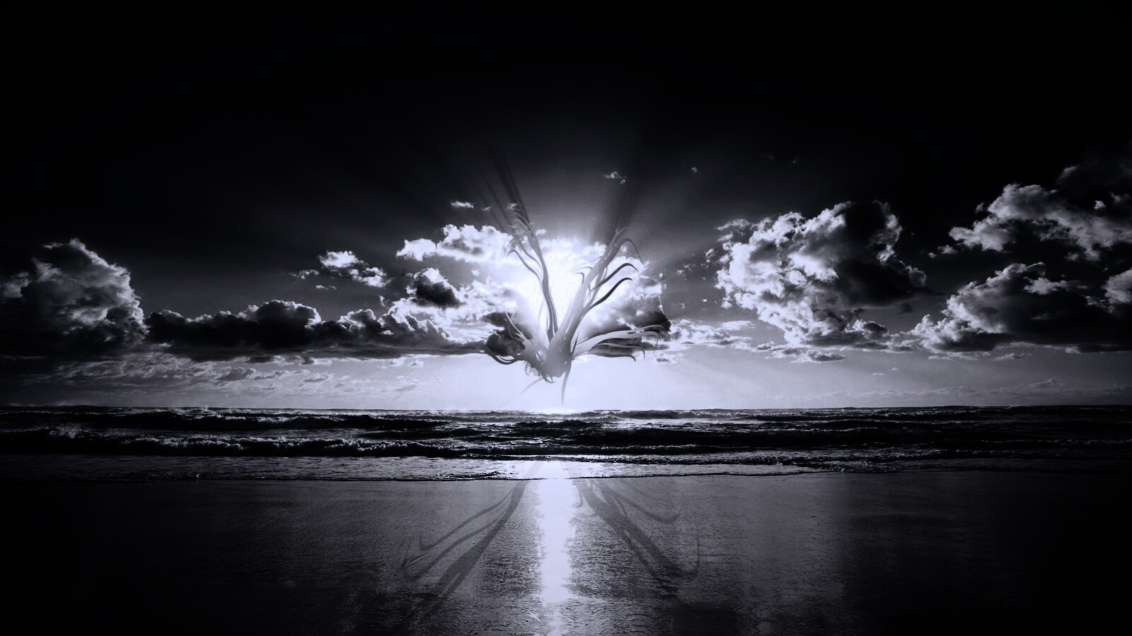 Абстрактные перья на фоне заката обои