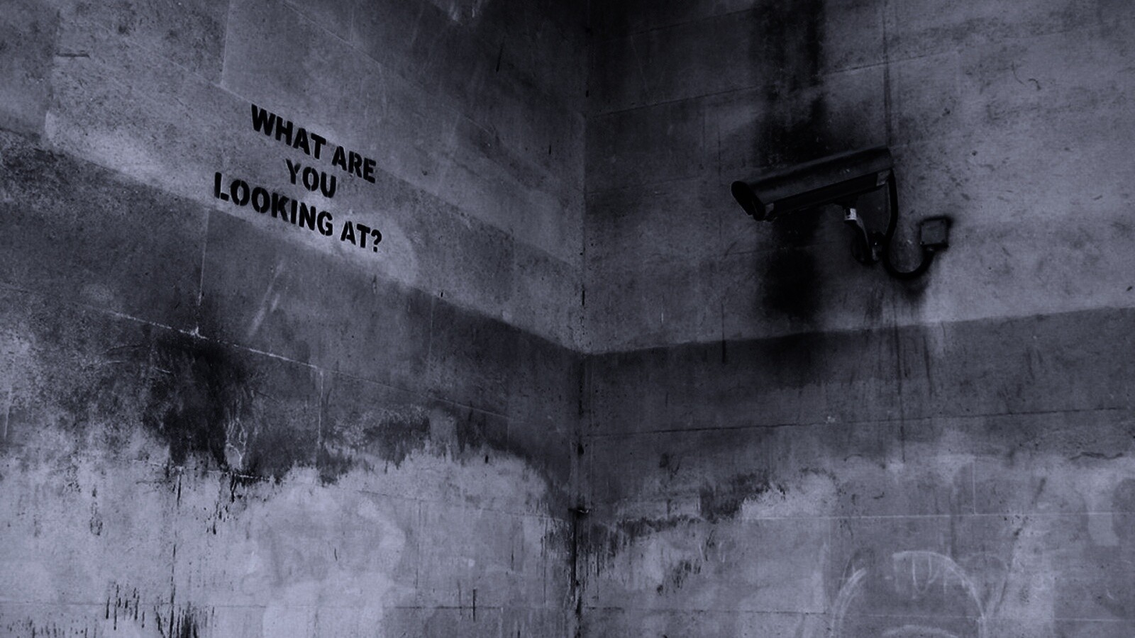 На что ты смотришь? обои