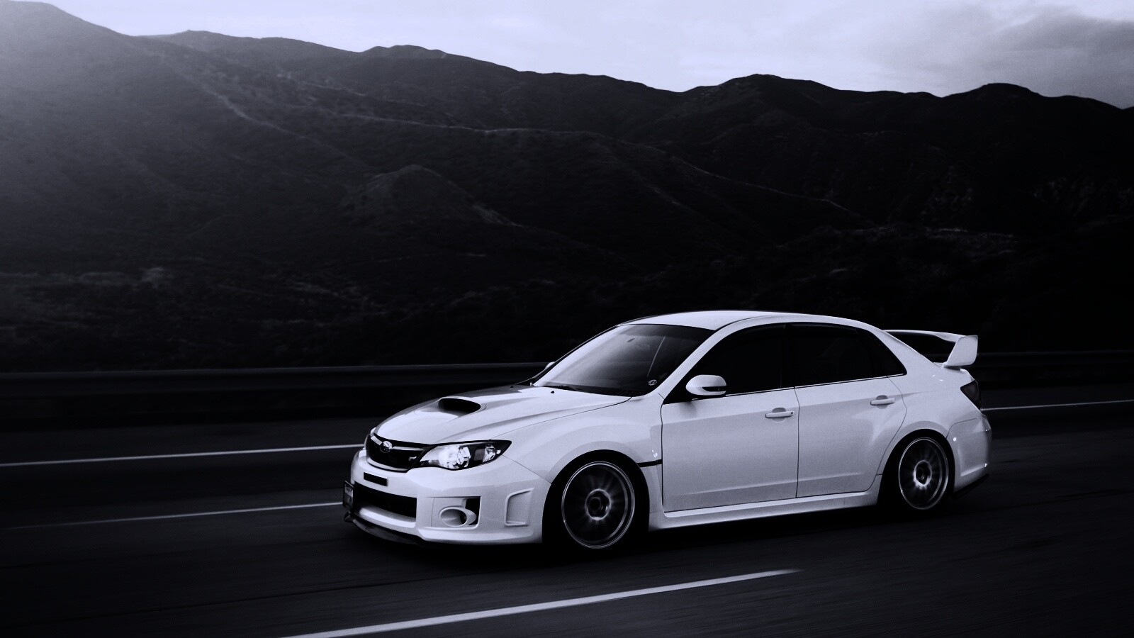 Белый субарь на тарссе обои