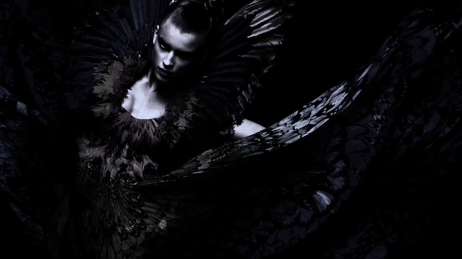 Костюм жар птицы обои