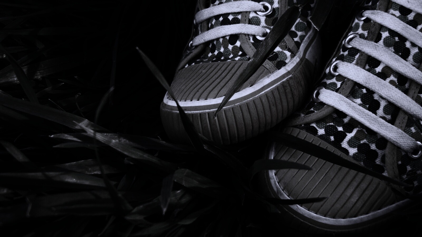 Желтые кеды в горошек обои