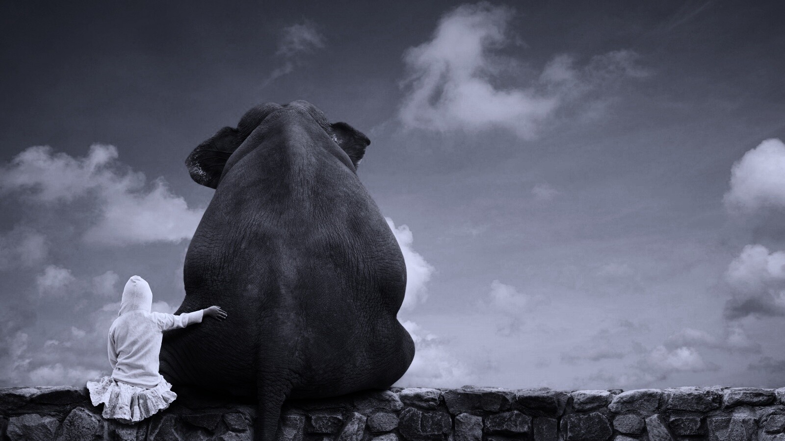 Девочка и слон обои