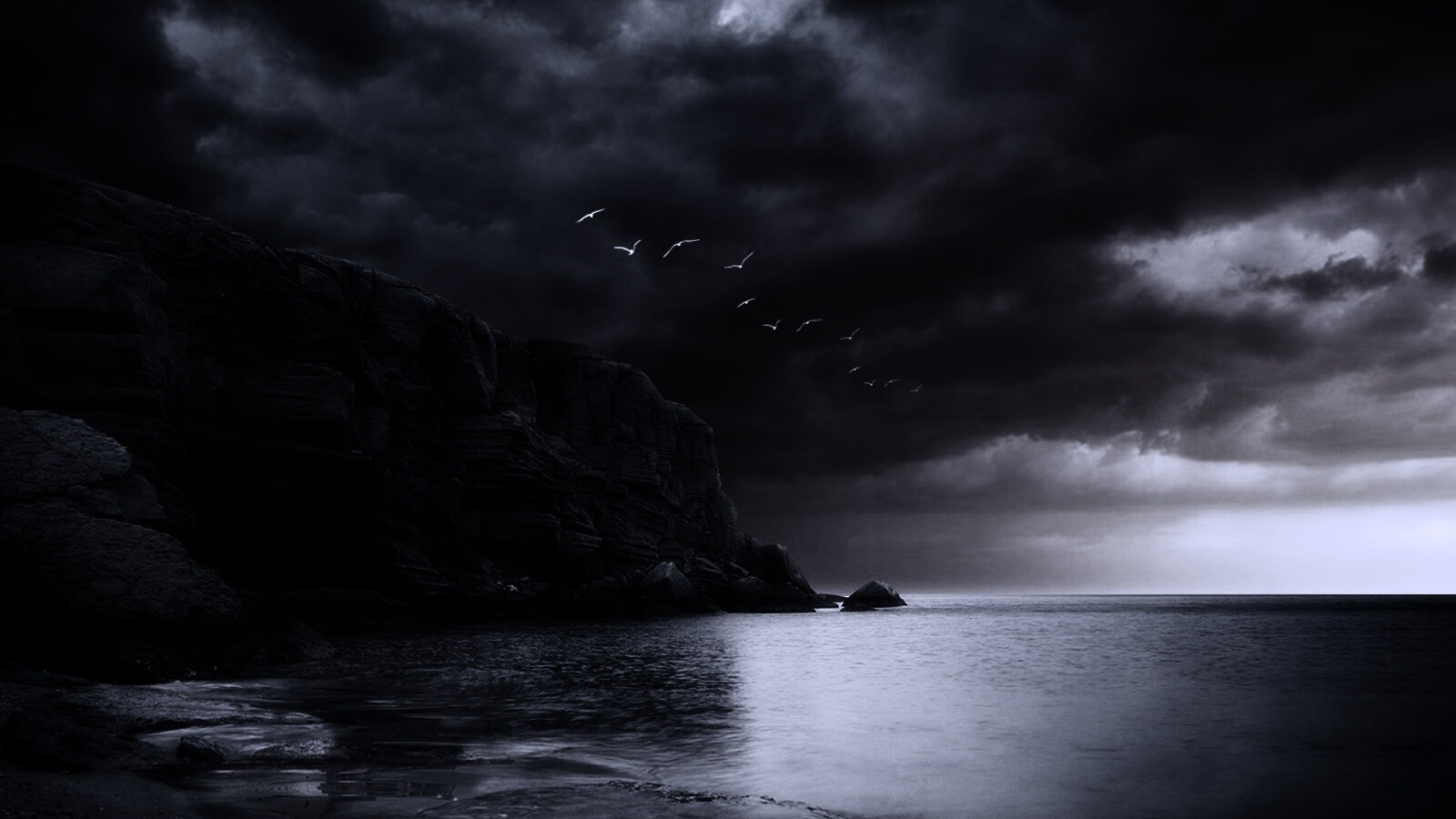 Чайки над скалами обои