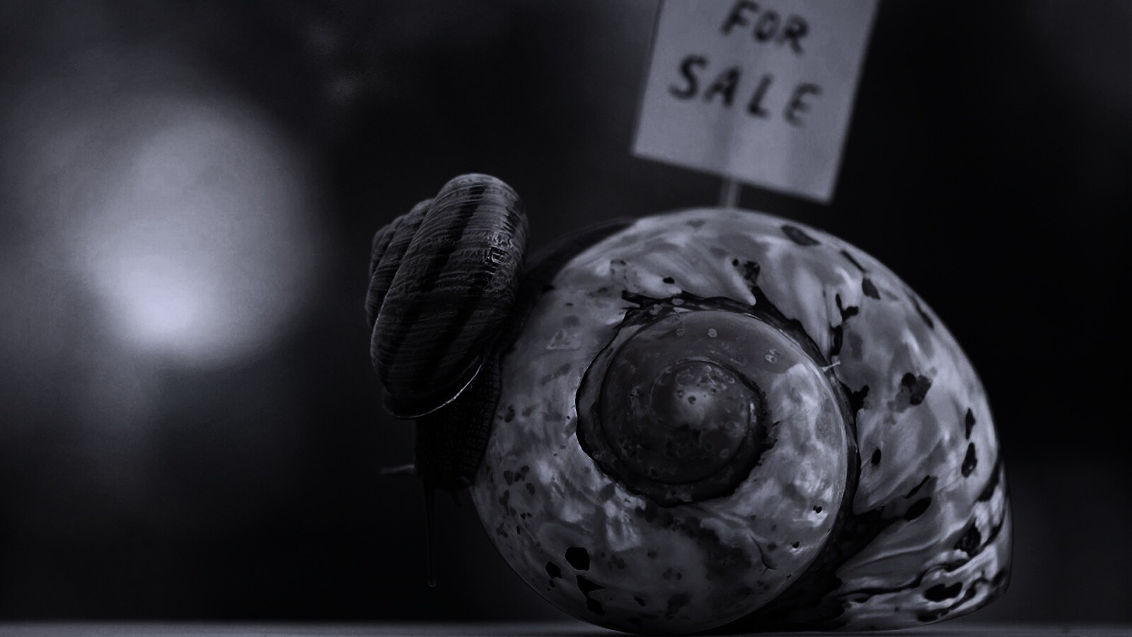 Улитка приматрвиает новый дом обои