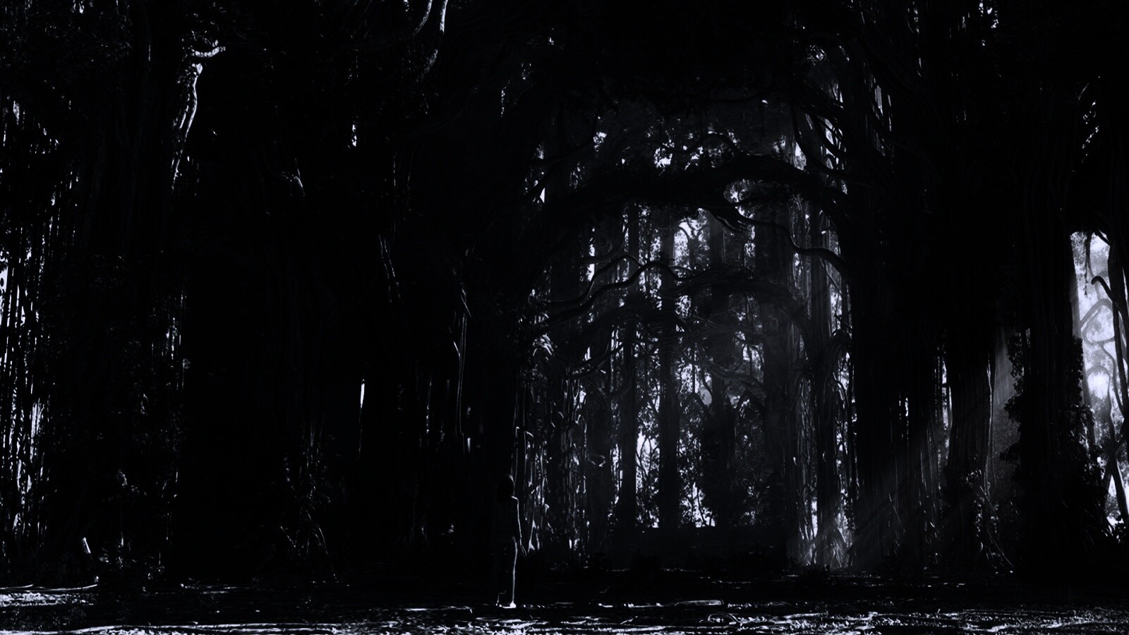 Одна в сумеречном лесу обои