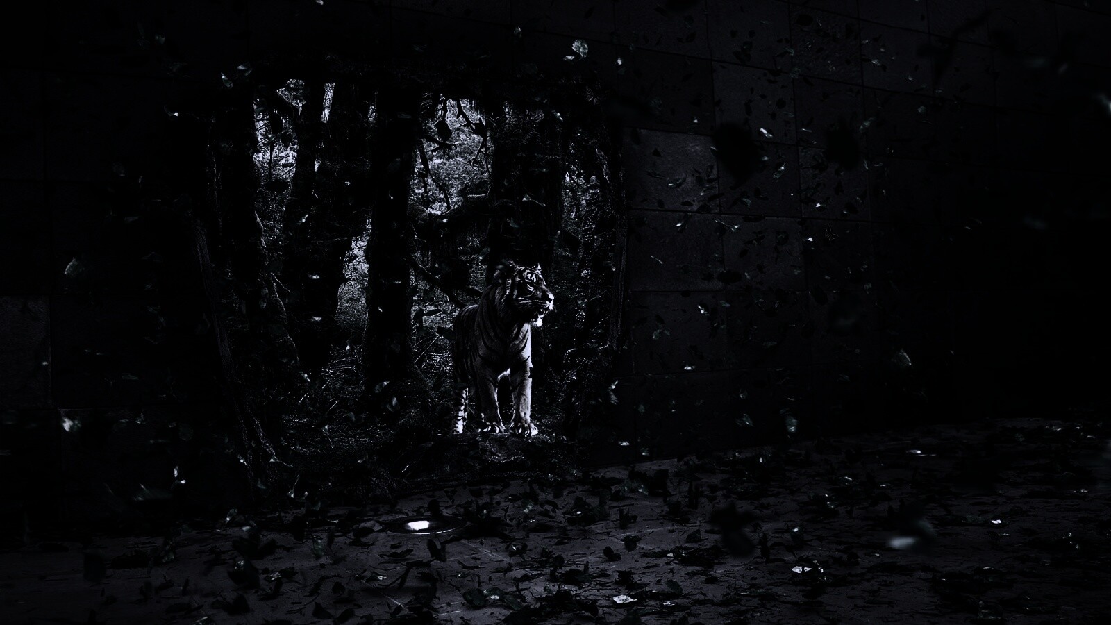 Портал в джунги обои