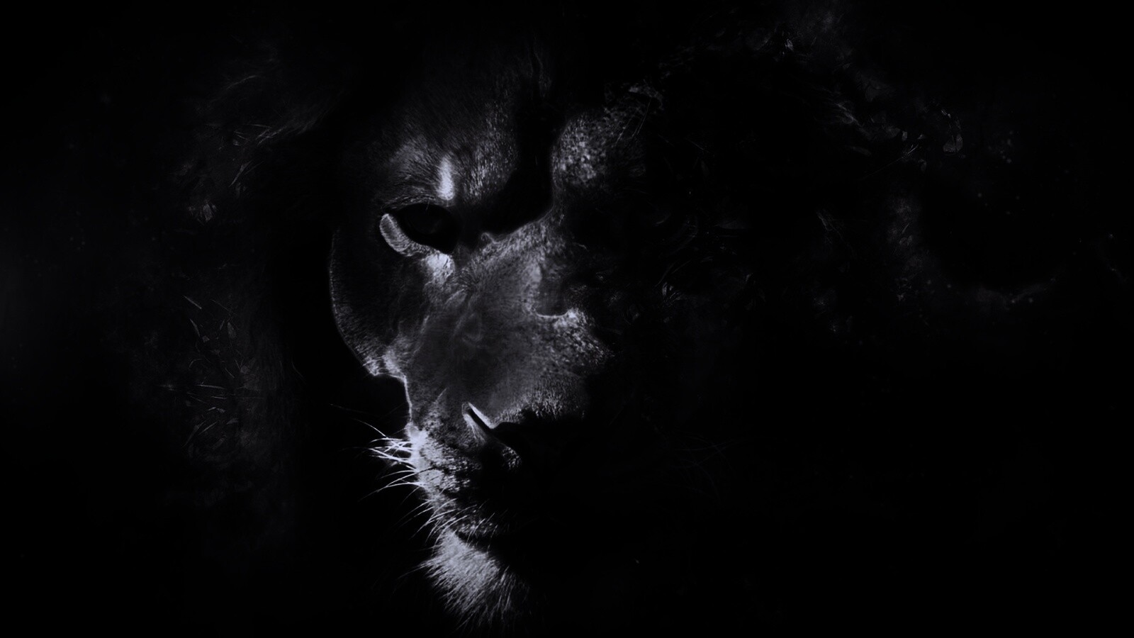 Фас льва обои