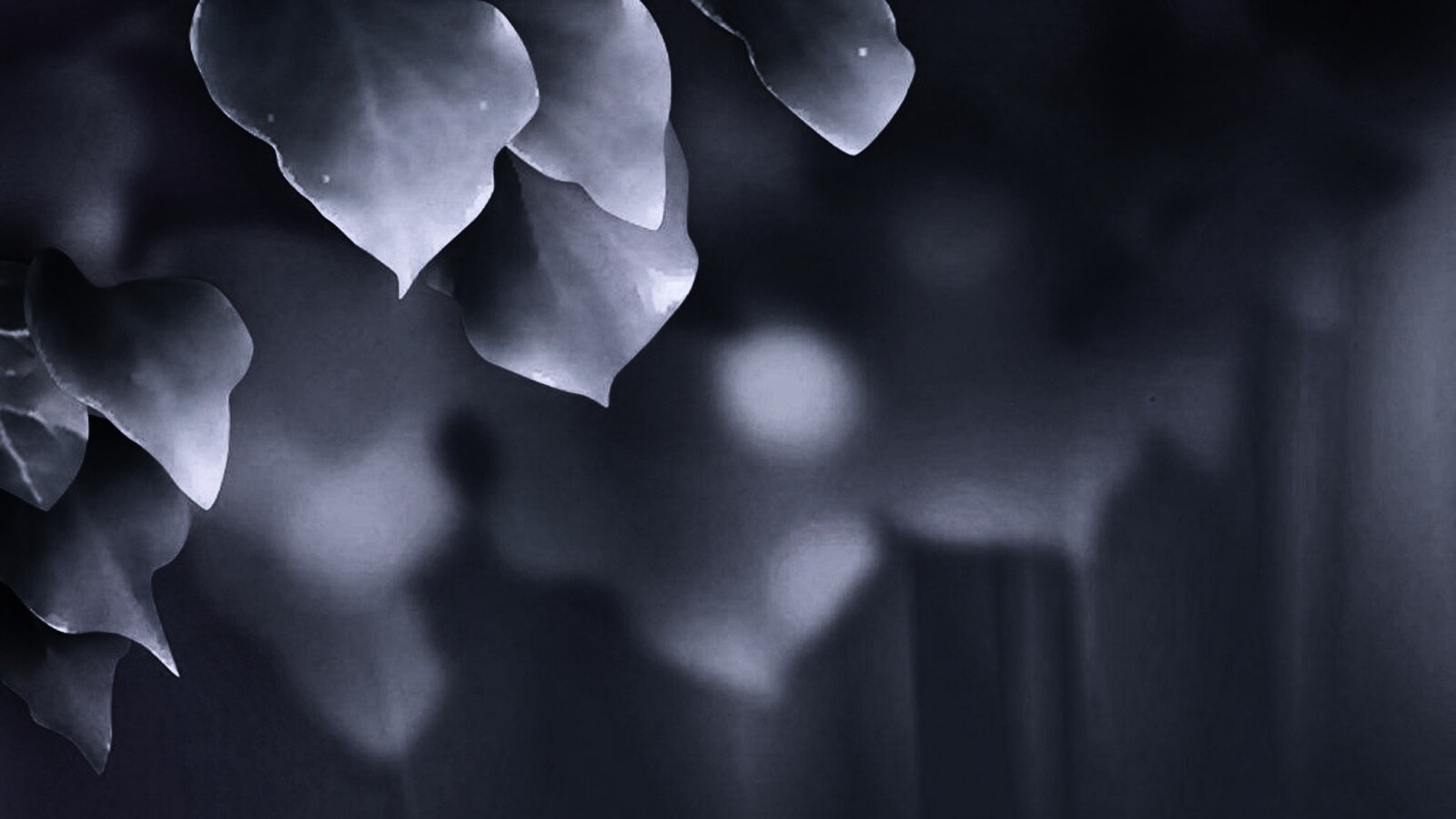 Синие листья обои