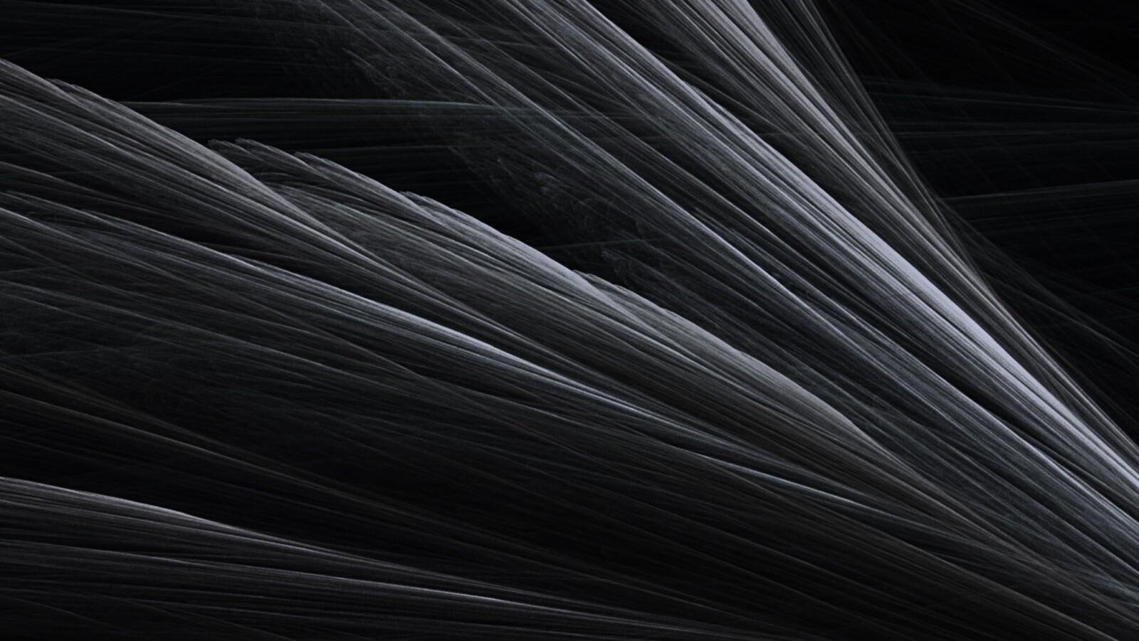 Прозрачные зеленоватые крылья обои