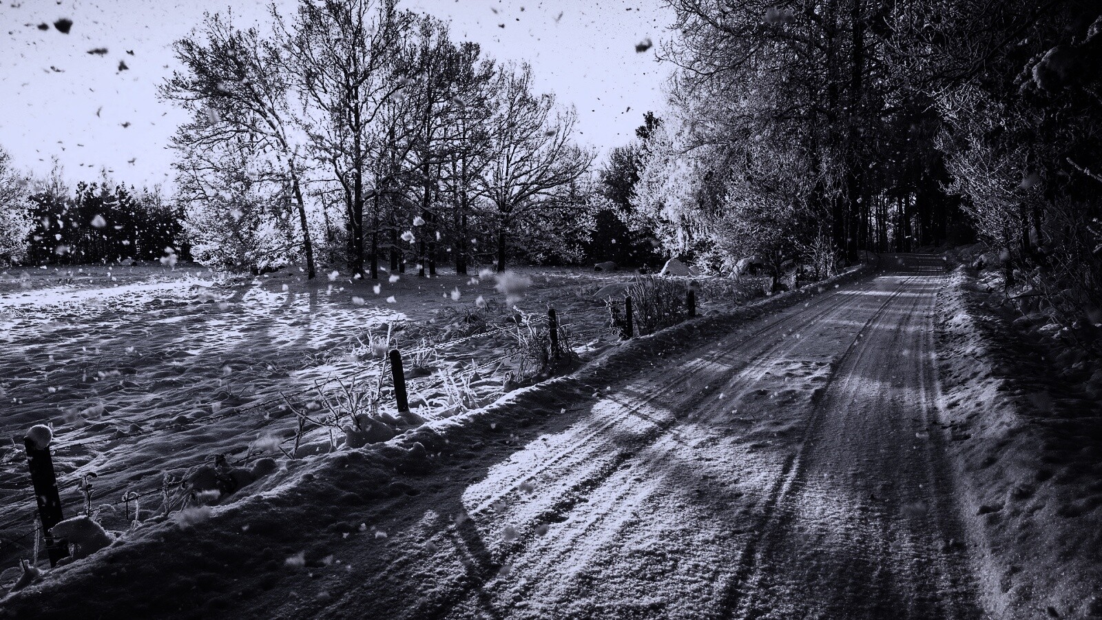 Снежная дорога залитая солнцем обои