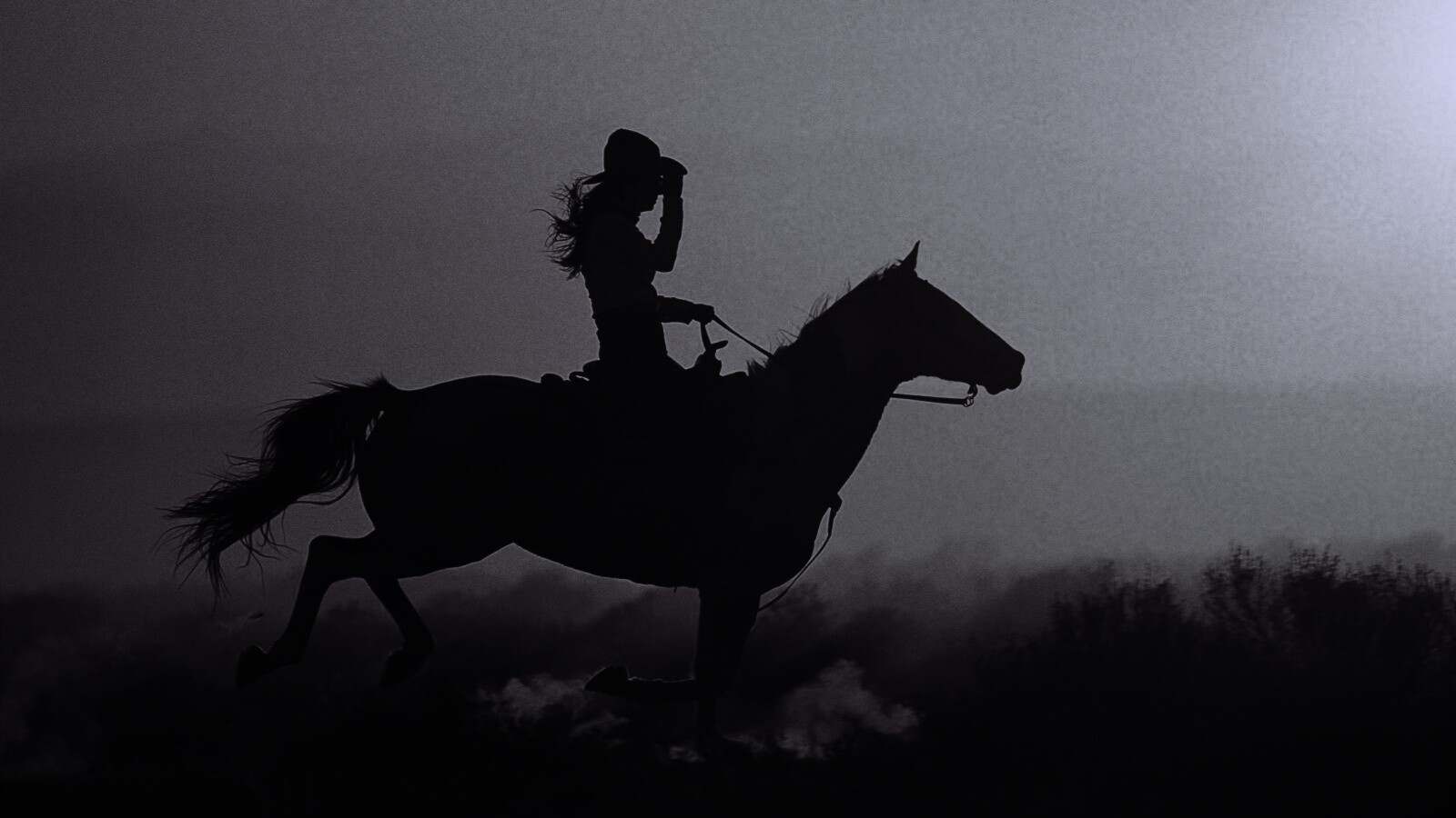 Наездница на закате обои