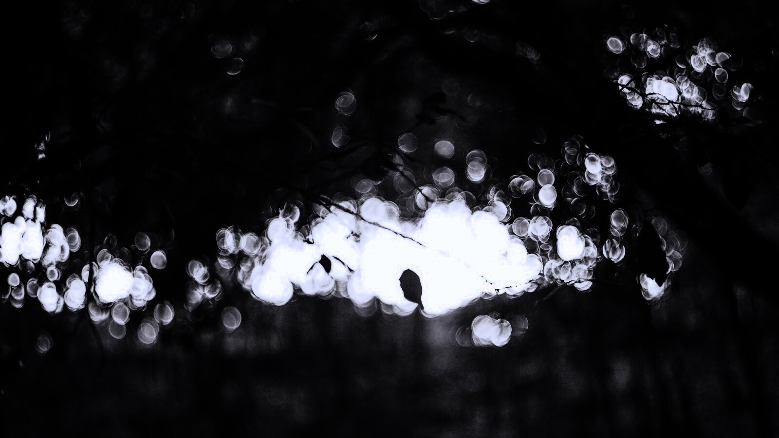 Размытый свет в парке обои