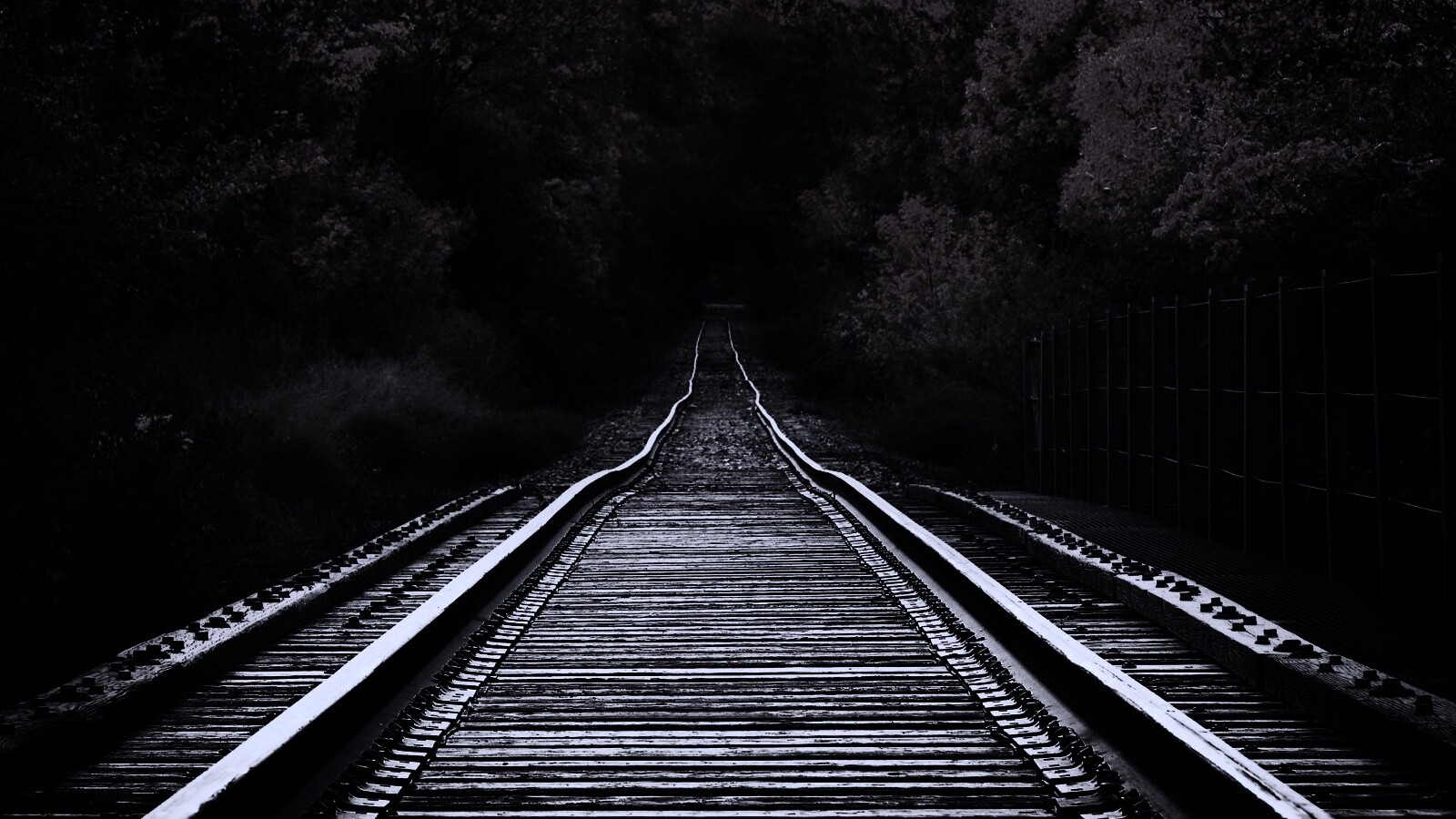 Железная дорога в осеннем лесу обои