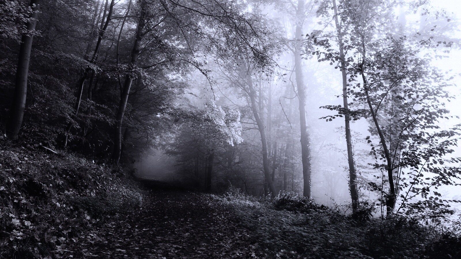 Осенний мистический пейзаж обои