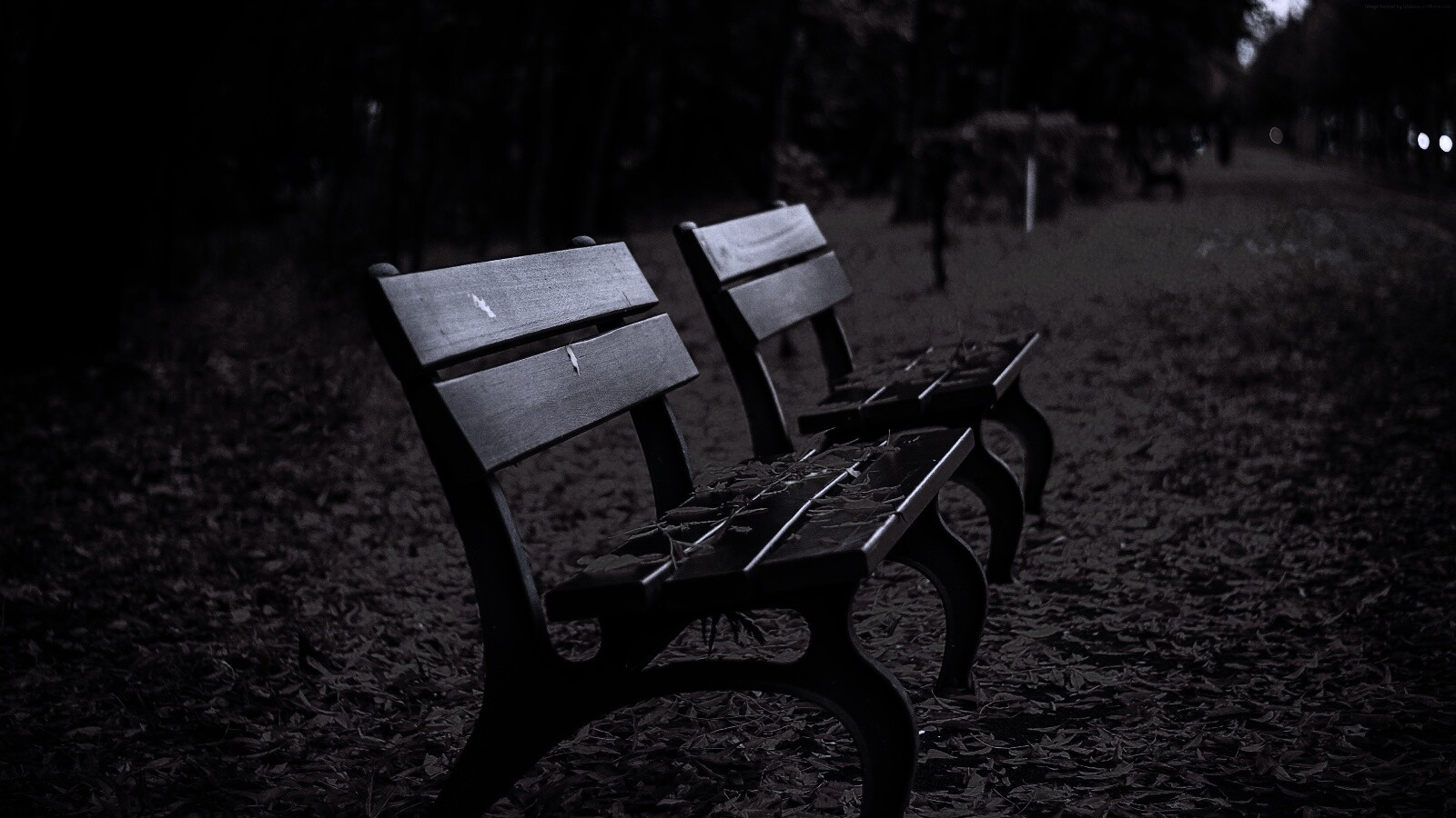 Лавочки в осеннем парке обои