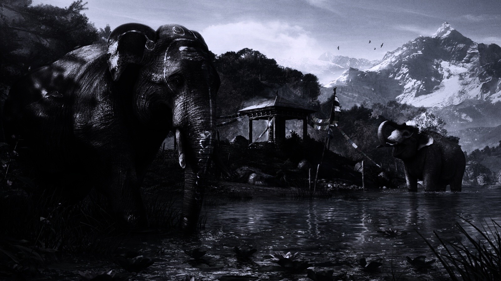 Слоники у воды обои