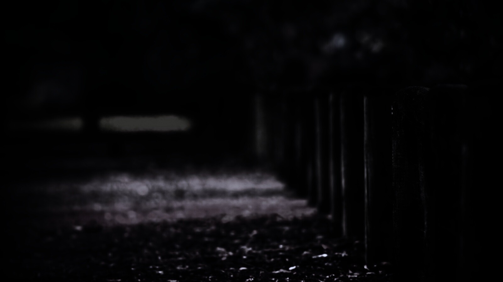 Аллея усеянная листвой обои