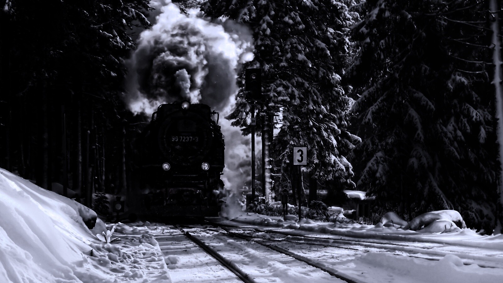 Паровоз в димнем лесу обои
