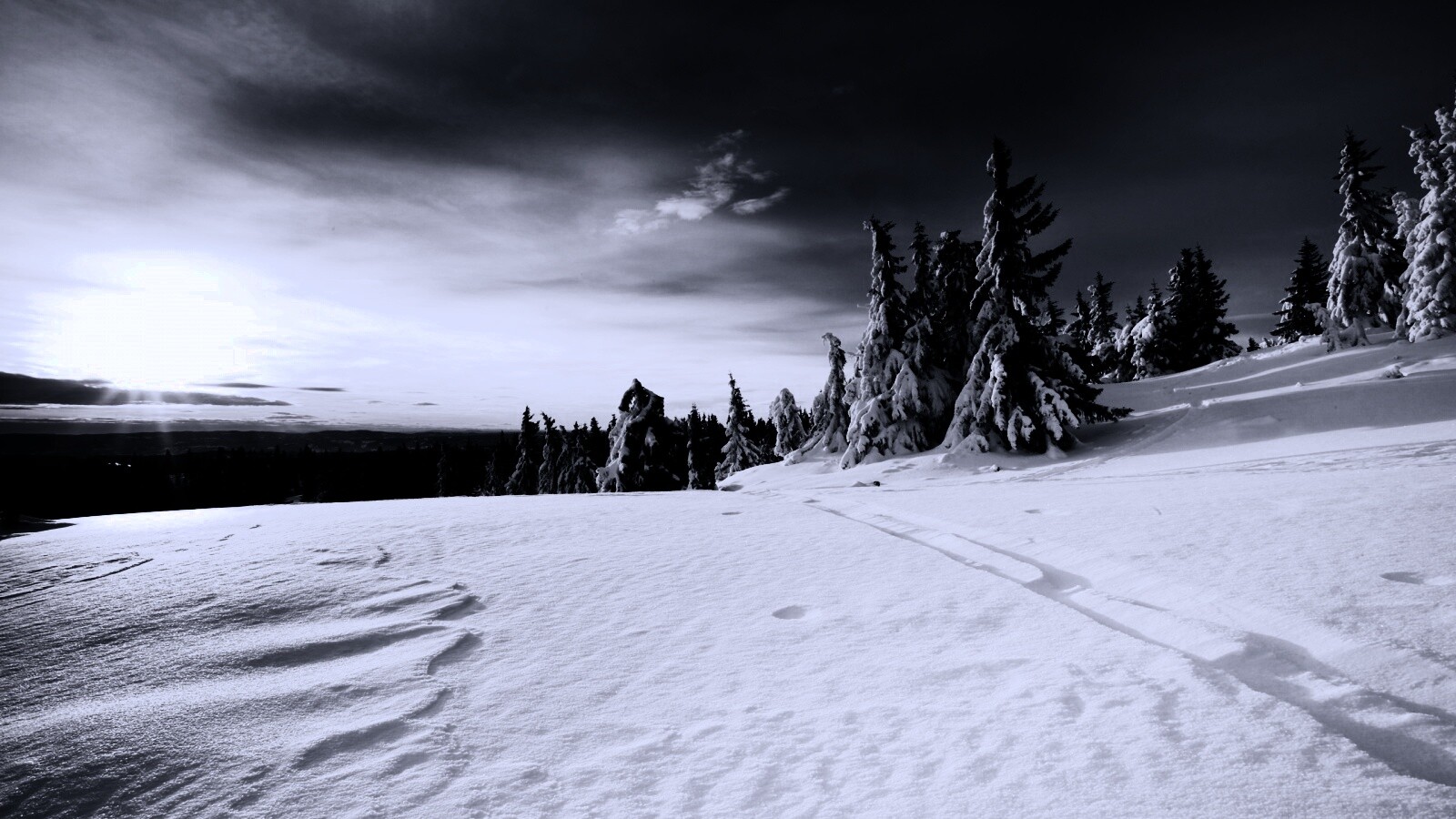 Зимние просторы обои