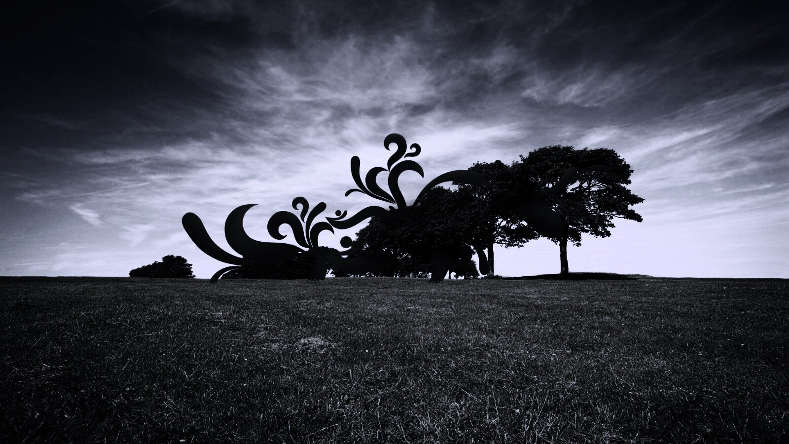 На равнине обои