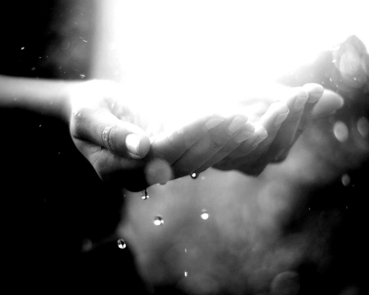 Дождь в ладонях обои