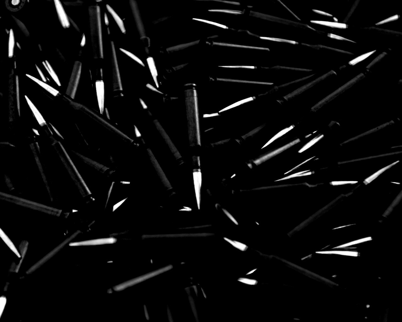 Черные патроны обои