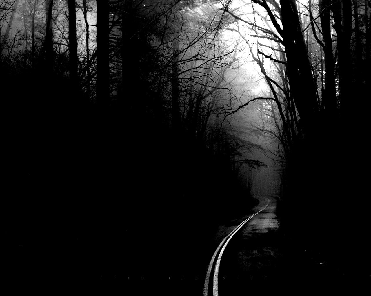 В туман обои